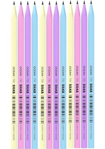 Kaly Üçgen Pastel Kurşun Kalem 12'li