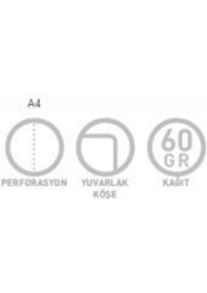 Pastoral A4 Spiralli Pp Kapak Defter 96 Yaprak Kareli (4 Lü Paket) 3245 fiyatları