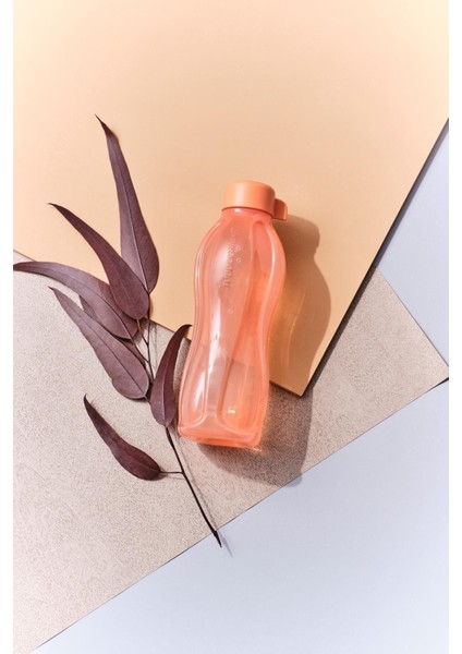 Eco+ Şişe Suluk 500 ml Turuncu modelleri