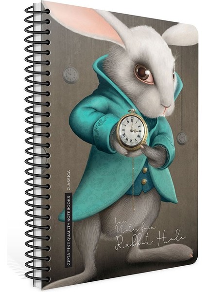 Classica Spiralli Sert Kapak 17X24 120 Yaprak Kareli Defter