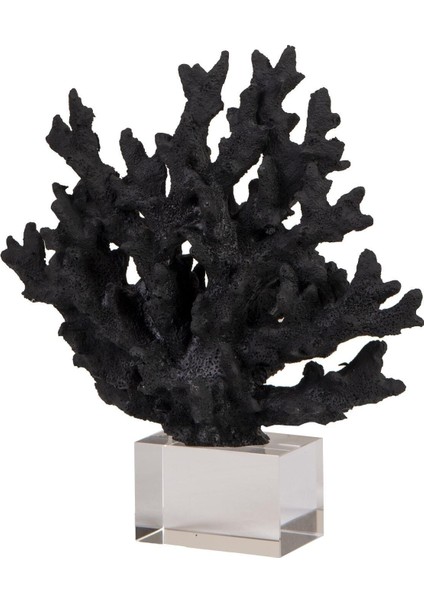 Snm Home Decoration Dekoratif Kristal Kaideli Siyah Mercan Obje