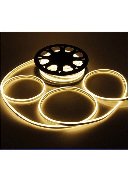 Ct 4555 12 V Neon LED (5mt)