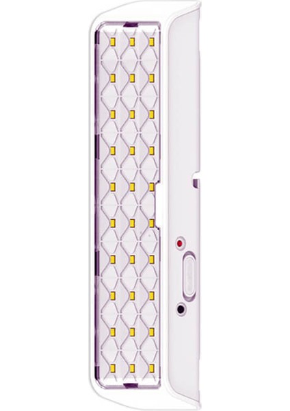 PT-3001 30 Smd LED Şarjlı Işıldak