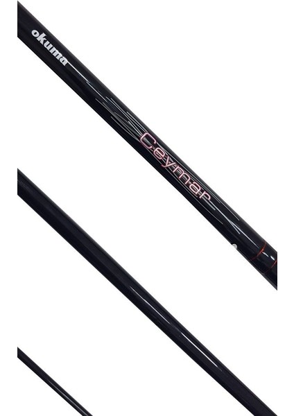 Ceymar Surf 4,30 M 100-250 gr 3 Parça Surf Kamışı fiyatları