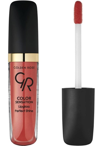 Dudak Parlatıcısı - Color Sensation Lipgloss No: 113 8691190704131 fiyatları