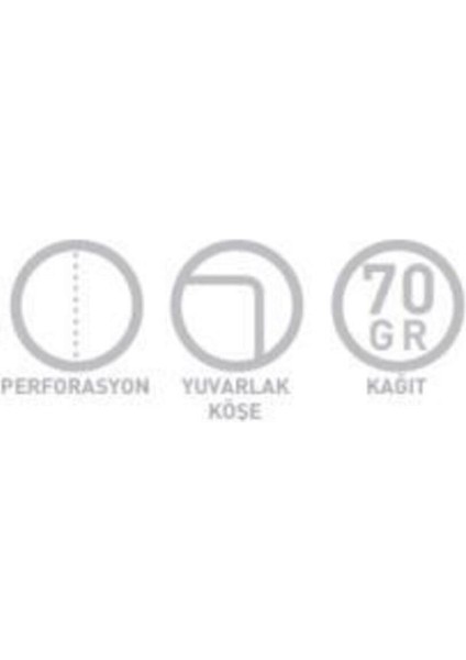 Camper A4 Spiralli Karton Kapak Defter 100 Yaprak Kareli (4 Lü Paket) 4328