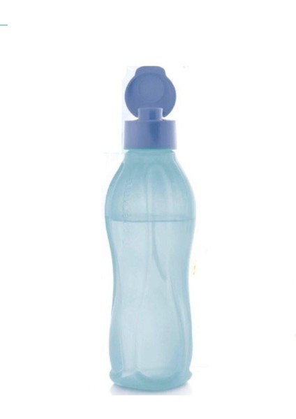 Eko Şişe 750 ml