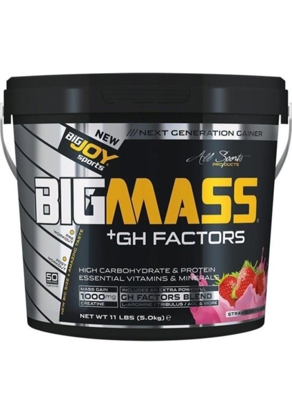 Bigjoy Bigmass Gh Factors Karbonhidrat Tozu 5000 Gr - Çilek