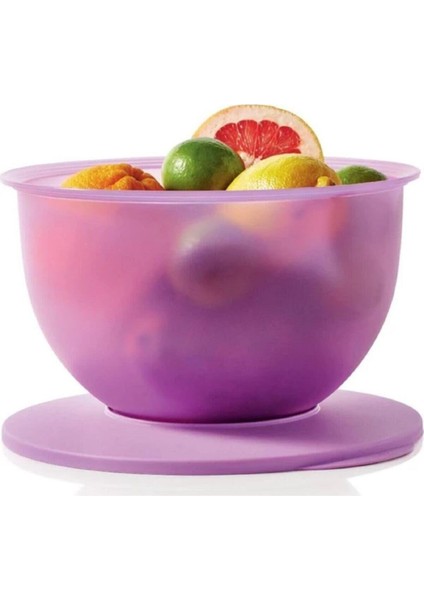 Saklama Kabı 4.3 Lt Lila