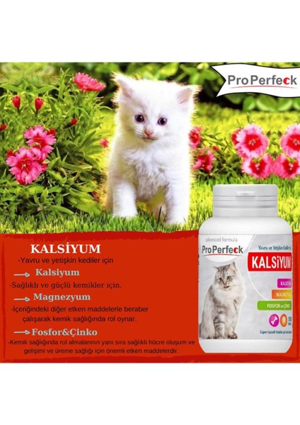 Yavru ve Yetişkin Kediler Için Kalsiyum Magrnezyum Fosfor Çinko Tablet 150