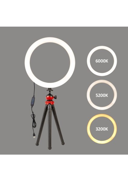 Vlogger Kit Ring Light