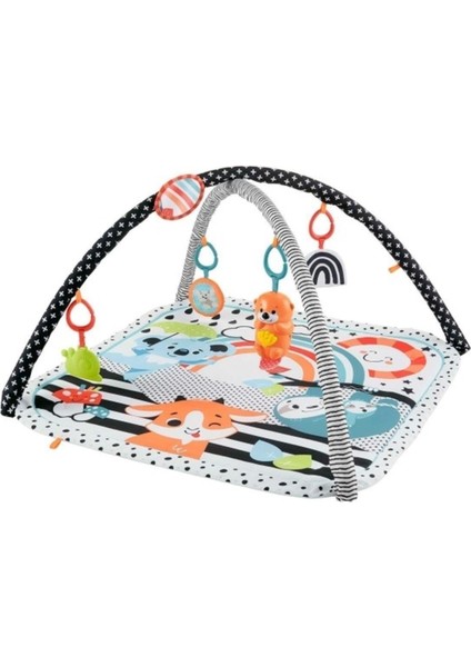 HBP41 Fisher-Price® Neşeli Hayvanlar 3ü1 Arada Jimnastik Merkezi