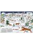 Atlas Of Animal Adventures 3