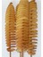 Çubukta Patates Çubukları Bambu 1. Kalite 1000 Adet 5 mm (Kalınlık) 2
