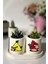 Tabaklı Angry Birds Desenli Mini Saksı Seti Hediyelik Dekoratif (Çiçeksiz) 1