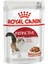 Instınctive Gravy Pouch Kedi Maması 85 gr 1
