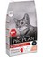 Somonlu ve Pirinçli Yetişkin Kedi Maması 3 kg 1