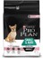 Pro Plan Small & Mini Sensitive Skin Somonlu ve Pirinçli Küçük Irk Yetişkin Köpek Maması 3 kg 2