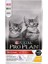Kitten Tavuklu Yavru Kedi Maması 10 kg 2