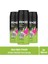 Deodorant Epic Fresh 3X150 ml 1