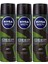 Men Deep Dimension Aktif Karbon Amazonia Erkek Deodorant 150 ml x 3 1