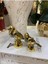 Eoshome Ikili Kuş Biblo Gold 1