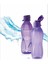 Eko Şişe 500 ml Çıt Kapaklı 2 Li Set 1