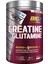 Bigjoy Creatine + Glutamine 505 Gr - 1