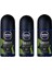 Men Deep Dimension Amazonia Roll-On Deodorant 50 Ml Erkek 3 Adet 1