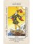 Tarot Yeni Başlayanlar Için 2