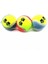 Tenis Topu 3lü Köpek Oyuncağı 1