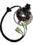 Yamaha Bws 100 6 Kablolu Statör Alternatör Sargı Tm Dp2 1