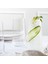 Cool Meşrubat Bardağı Ocean 540 ml Transparan 1