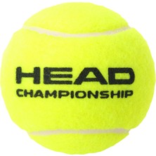 Head  Championship Tenis Topu 3lü Kutu