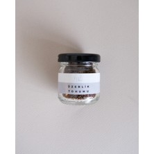 Kyphi Natural Üzerlik Tohumu Tütsüsü