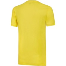 Puma Fenerbahçe Cat Tee Fenerbahçe Futbol Tişörtü 77313601