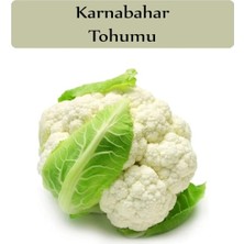 Çermik Fidancılık Karnabahar ( Karnıbahar ) Tohumu 10 gr