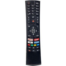 Vestel Seg Regal Nexon Hı-Level LCD LED Tv Kumandası