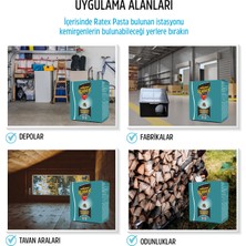 Chrysamed Ratex Pasta 100 gr Fare ve Sıçanlar İçin Hazır Pasta