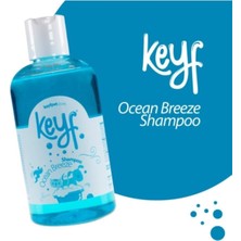 Maxisol Keyf Kedi Köpek Şampuanı Ocean Breeze +Tüy Toplayıcı Eldiven Seti