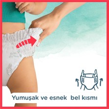 Prima Harmonie Külot Bez 6 Beden 18 Adet