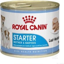 Royal Canin 6'lı Starter Mousse Yavru Köpek Konservesi 195 gr