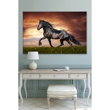 Morfil Sanat Atölyesi Asil Siyah Rahvan At Kanvas Tablo