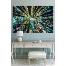 Morfil Sanat Atölyesi Ormanda Ağaçlar Altından Gökyüzüne Bakış Dekoratif Kanvas Tablo