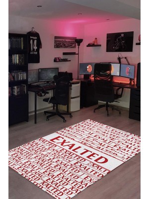 Homshtag Yüce Dokuma Tabanlı Yıkanabilir Path Of Exile Gamer Halısı