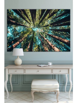 Morfil Sanat Atölyesi Ormanda Ağaçlar Altından Gökyüzüne Bakış Dekoratif Kanvas Tablo