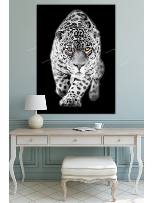 Morfil Sanat Atölyesi Kaplan Hayvanlar Alemi Kanvas Tablo