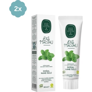 Eyüp Sabri Tuncer Doğal Nane Özlü Diş Macunu 90 ml x 2 Adet