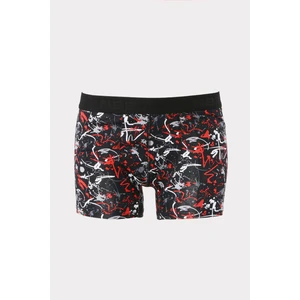 Nbb Renkli Boya Desen Boxer