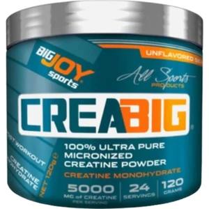 Bigjoy Sports Creabig Creatine Powder 120 Gr Kreatin Monohydrate 100 Ultra Pure Micronized Amino Asit